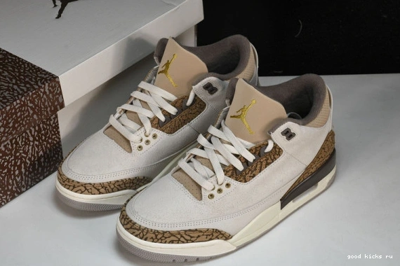 Retro Jordan  CT8532-102 CT8532-102 Palomino  3 0401